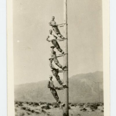 Print, Photographic