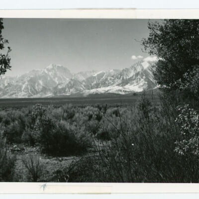 Print, Photographic
