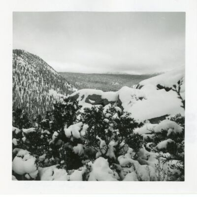 Print, Photographic