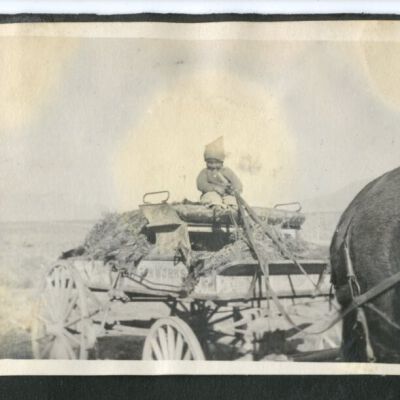 Print, Photographic