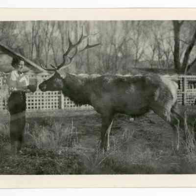 Print, Photographic