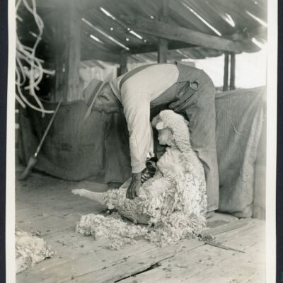 Print, Photographic