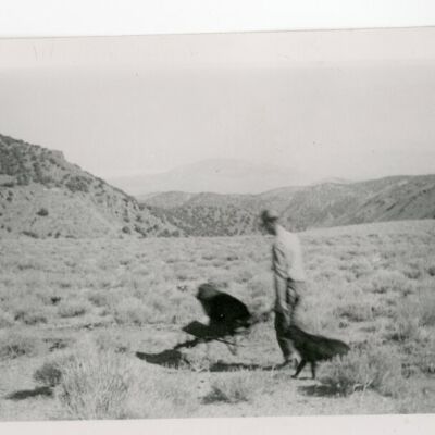 Print, Photographic