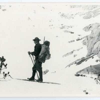 Print, Photographic