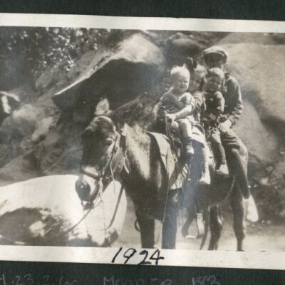 Print, Photographic