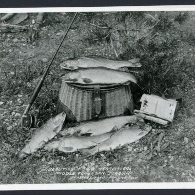 Print, Photographic