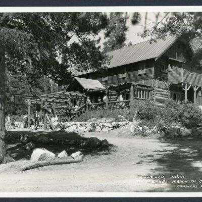Print, Photographic