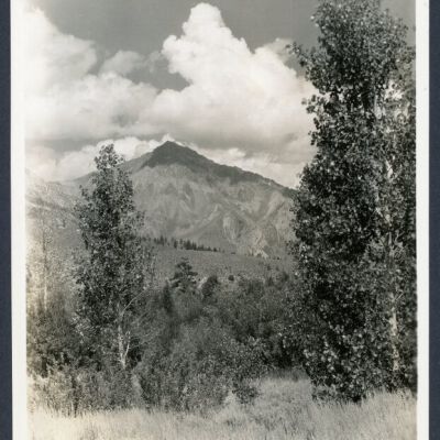 Print, Photographic
