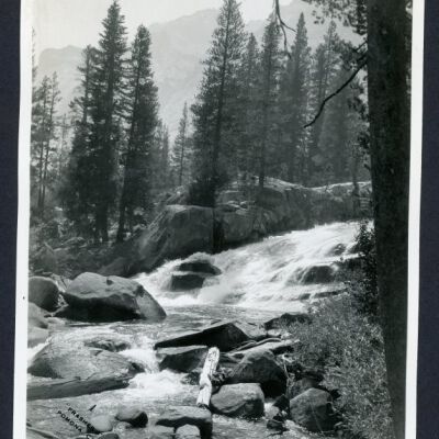 Print, Photographic