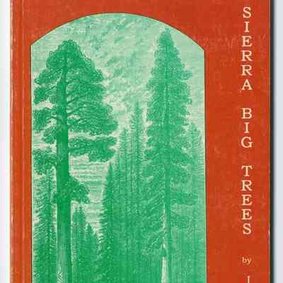 Sierra Big Trees