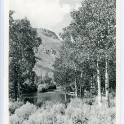 Print, Photographic