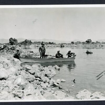 Print, Photographic