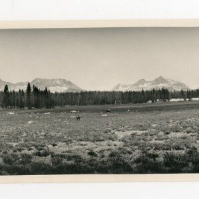 Print, Photographic