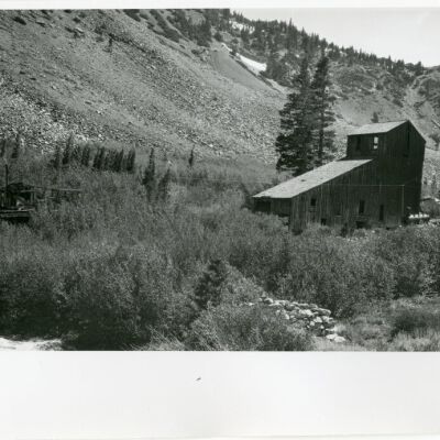 Print, Photographic