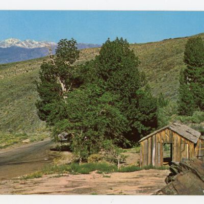 Print, Postcard
