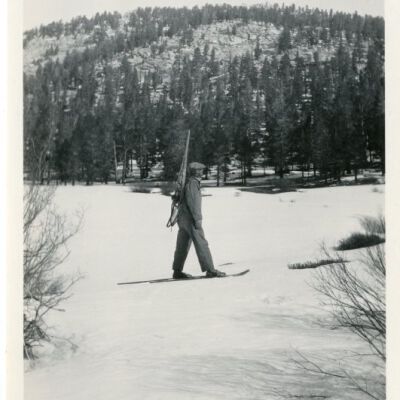 Print, Photographic