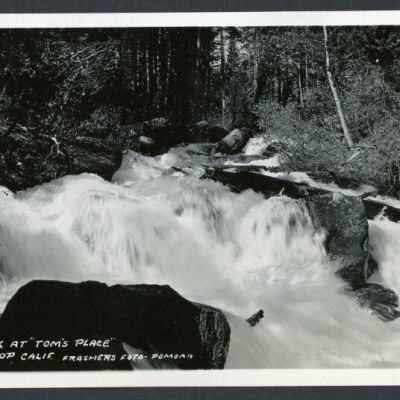 Print, Photographic