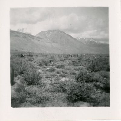 Print, Photographic