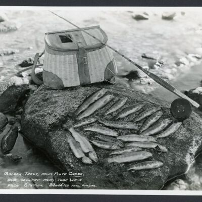 Print, Photographic