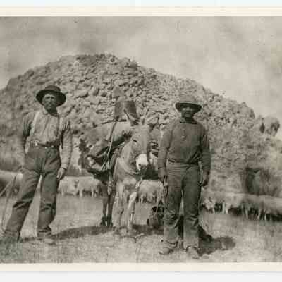 Print, Photographic
