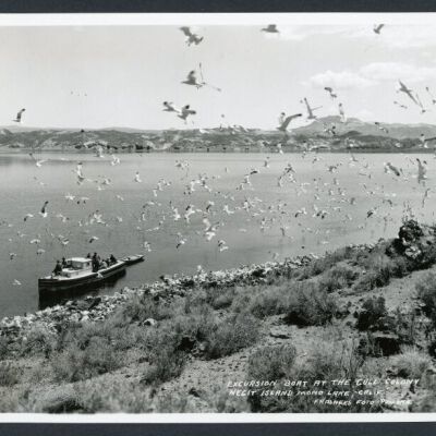 Print, Photographic
