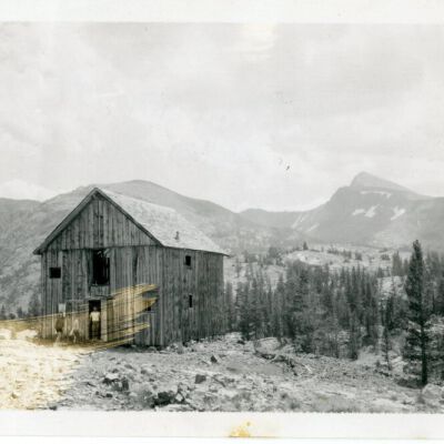 Print, Photographic