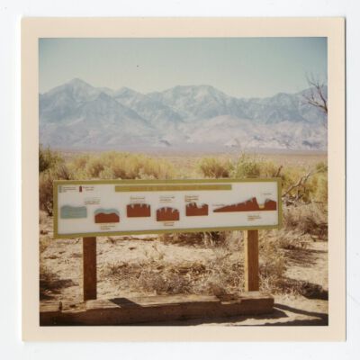 Print, Photographic