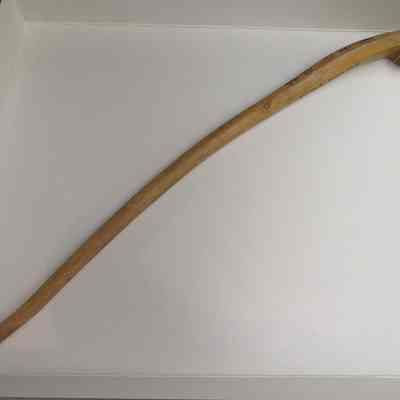 Cane