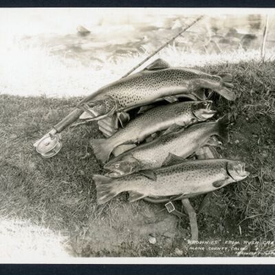 Print, Photographic
