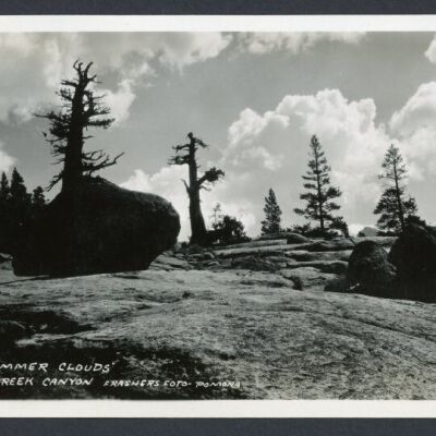 Print, Photographic
