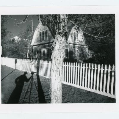 Print, Photographic