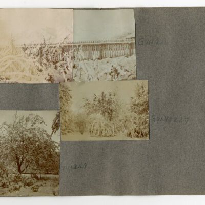 Print, Photographic
