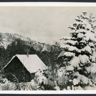 Print, Photographic