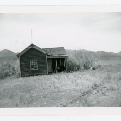 Print, Photographic