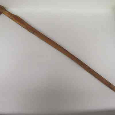Cane