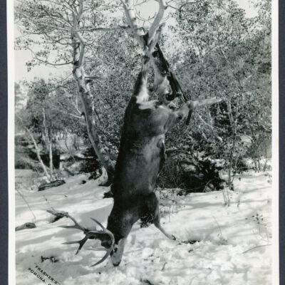 Print, Photographic