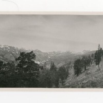 Print, Photographic