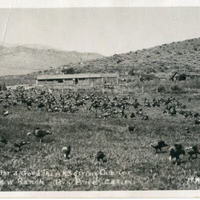 Prospects for a Good Thanksgiving Dinner Owens View Rance, Big Pine, Calif. H.W.M. 636
