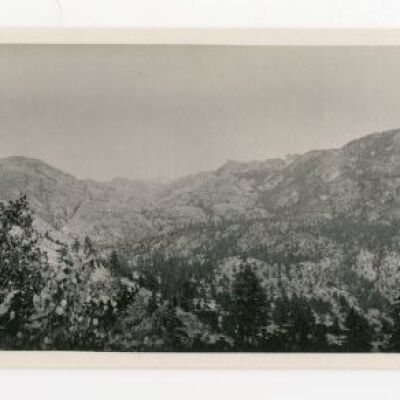 Print, Photographic