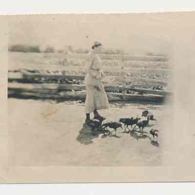 Print, Photographic