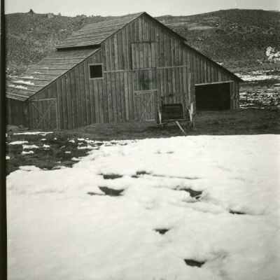 Print, Photographic
