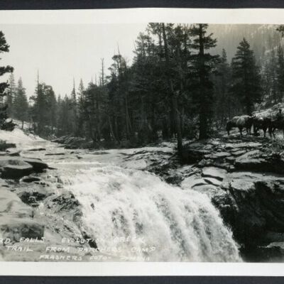 Print, Photographic