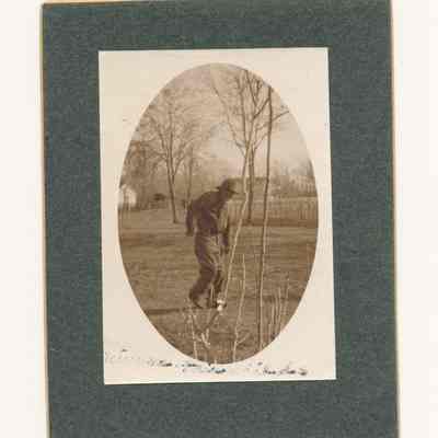 Print, Photographic