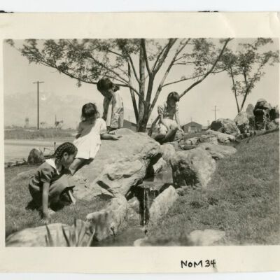 Print, Photographic