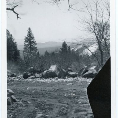 Print, Photographic