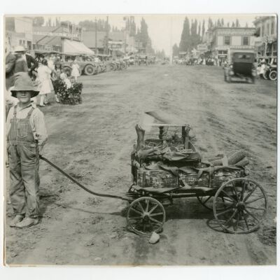 Print, Photographic