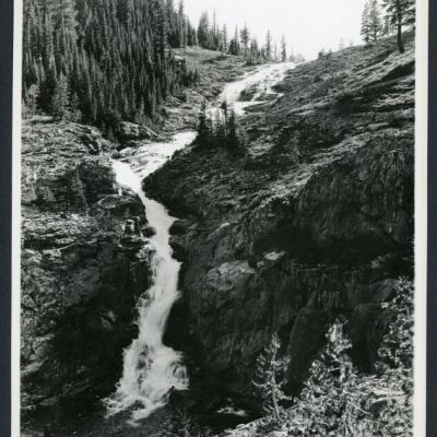 Print, Photographic