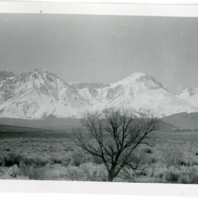 Print, Photographic