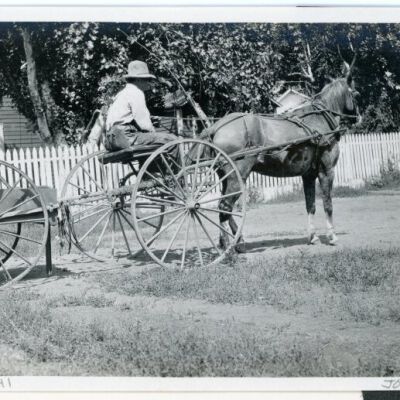 Print, Photographic