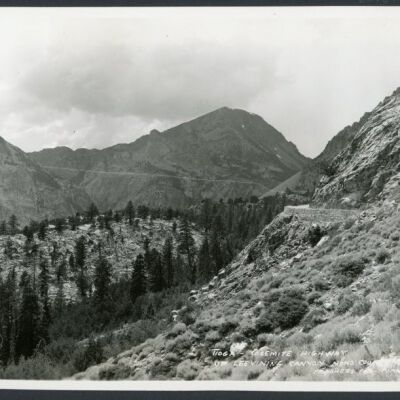 Print, Photographic